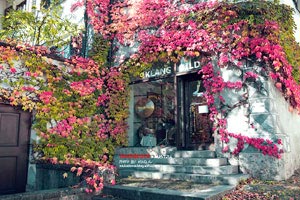 荷兰客场大胜爱尔兰队，取得胜利领先