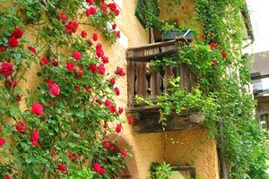 伯恩利球员状态火热，备战下一场比赛