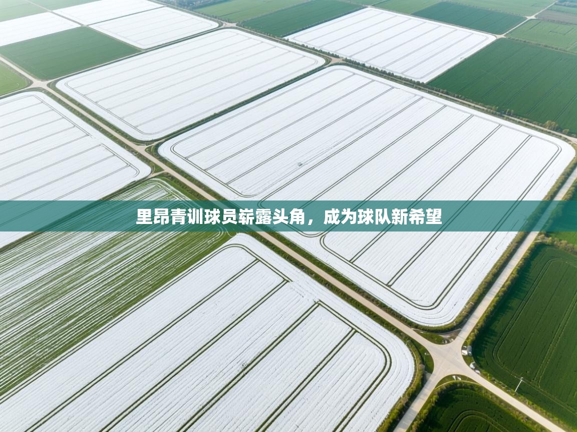 里昂青训球员崭露头角,成为球队新希望 第1张