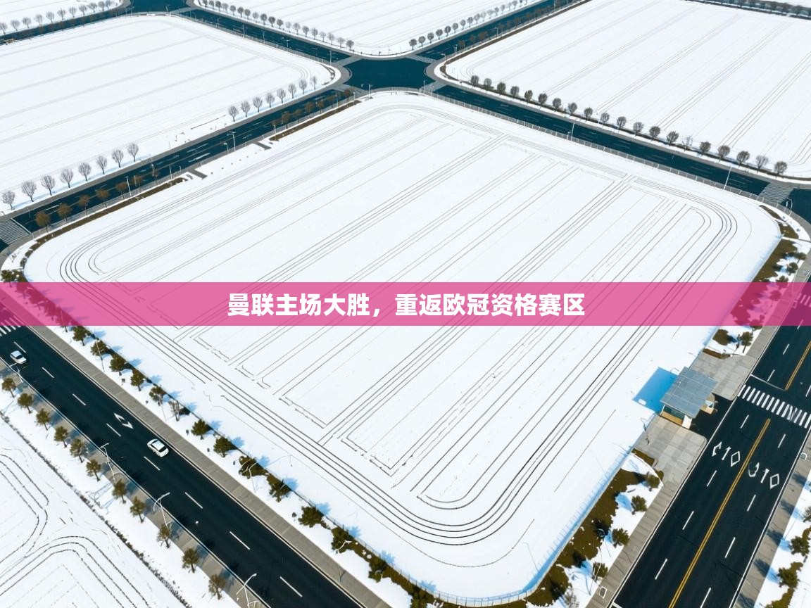 曼联主场大胜，重返欧冠资格赛区  第2张